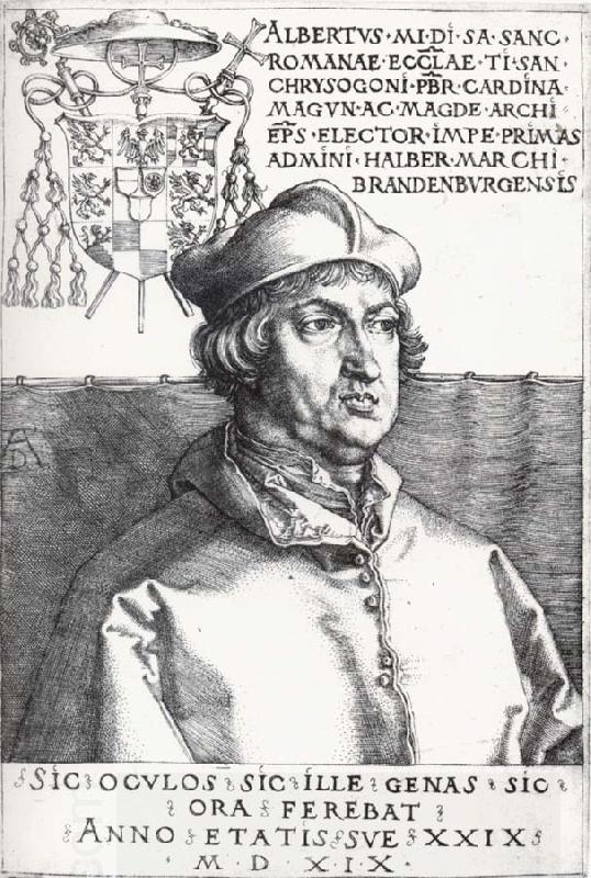Albrecht Durer Cardinal Albrecht of Bran-Denburg oil painting picture